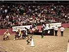 Olympia Horse Jump...