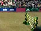 show jumping olymp...
