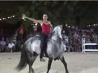 Dressage artistiqu...