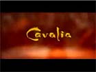Cavalia - Action
