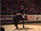 Friesian horse dre...