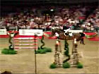 FEI world cup qual...