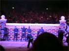 olympia horse show...
