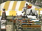 Gem Twist wins lar...